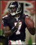 vick2.jpg